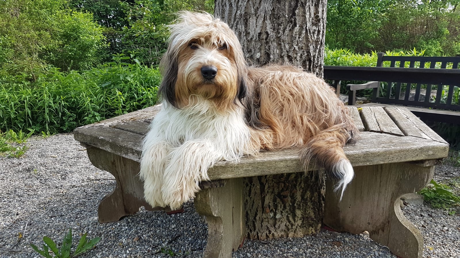 Bailey-von-der-Straubenhalde 5 Jahre 